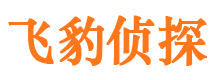 仙游市婚外情调查